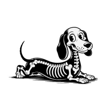 A cartoon dog with a visible skeletal structure is laid out on a black background. vector