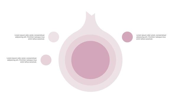 Onion diagram infographic with 3 points or stack vector