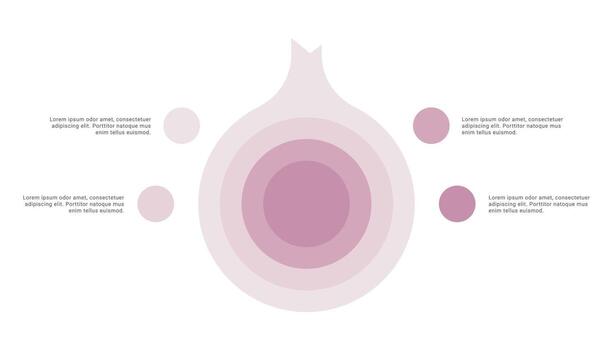 Onion diagram infographic with 4 points or stack vector