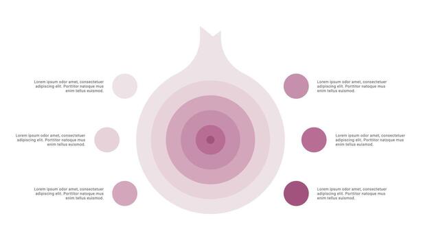Onion diagram infographic with 6 points or stack vector