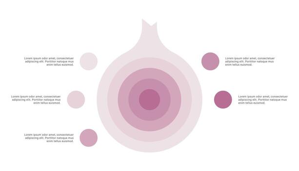 Onion diagram infographic with 5 points or stack vector