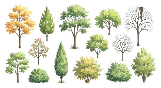 Collection of Trees and Shrubs in Various Styles Deciduous, Evergreen, Autumnal, and Bare, Perfect for Landscape and Architectural Illustrations vector