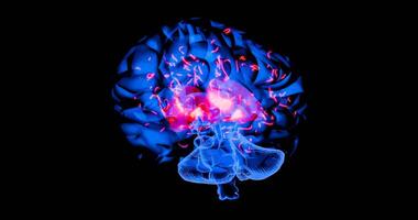 eletricamente ativo neurônios disparando dentro complexo cérebro rede, destacando comunicação sinais, memória mapeamento e avançado neurociência pesquisa video