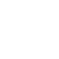 wikimedia fundament wit logo icoon Aan transparant achtergrond png