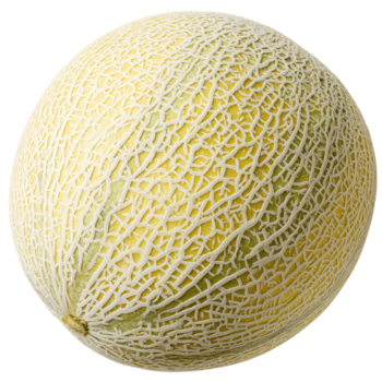 redondo melón con un beige a pálido amarillo piel, cubierto en un distintivo tipo red modelo en transparente antecedentes png