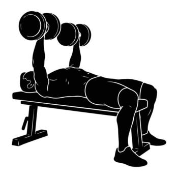 Man lifting weights on bench exercise vector