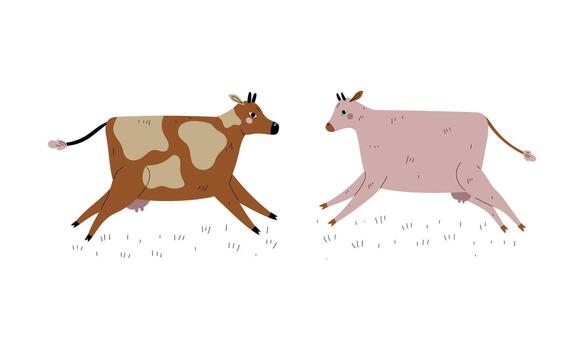 Two animated cows running together vector