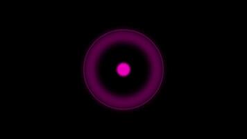 pulserande neon rosa ringa och cirkel på svart bakgrund abstrakt animering video