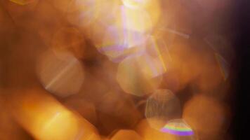 Warm, glowing bokeh lights with prismatic rainbow flares create a magical, dreamy abstract background. video