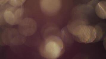 Warm golden bokeh lights create a magical, dreamy, and elegant background for your projects. video