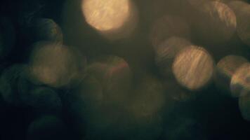 drömmande gyllene bokeh lampor mjukt glöd skapande en värma och inbjudande atmosfär perfekt för bakgrunder video