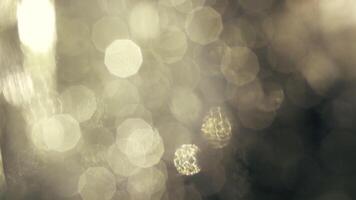 Dreamy golden orbs create an abstract and atmospheric background perfect for adding a touch of magic video