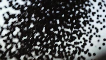 Monochrome Slow Motion Macro of Black Spherical Particles Falling and Bouncing on a Clean White Background video