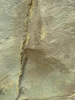 A textured surface with gold and green metallic elements and intricate organic patterns enhances aesthetic appeal, making it suitable for various artistic and decorative applications photo