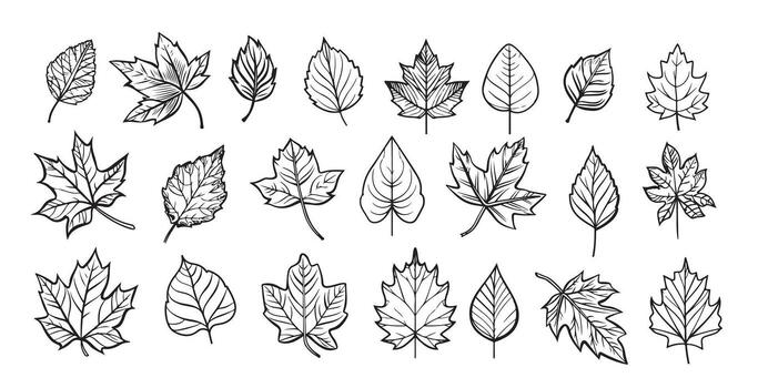 falling leaves pattern, hand drawn in sketched style vector