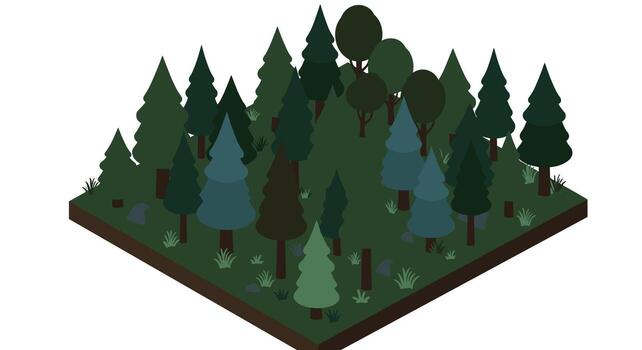 Isometric evergreen forest with pine and spruce trees on white background vector
