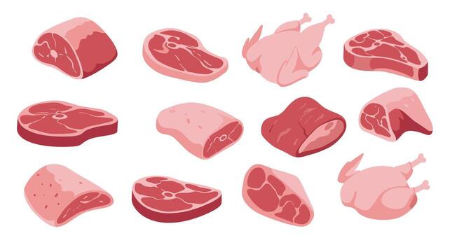 Various cuts of meat and poultry in flat style for food design and culinary projects vector