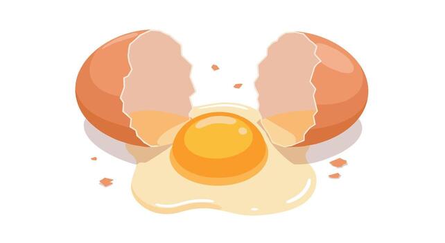 Realistic broken egg with yolk and shell fragments on white background vector