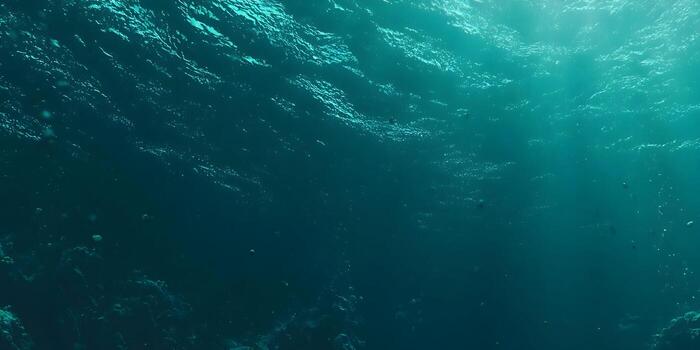 Sunlight streams through the rippling surface of deep teal water creating a serene underwater light effect photo