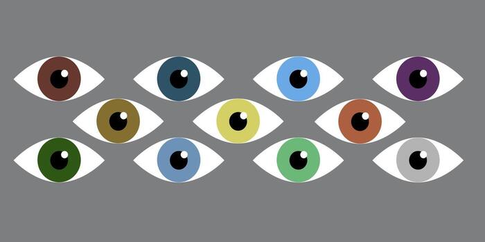 Simple eyes of different color. Flat illustration vector