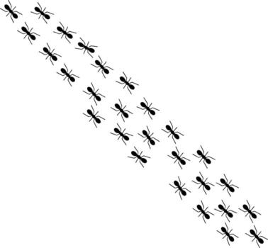 Ants Trail Top View Marching Ants Bug Road Insect Line Row Pest Control Nature Pattern Insect Search Concept Illustration vector