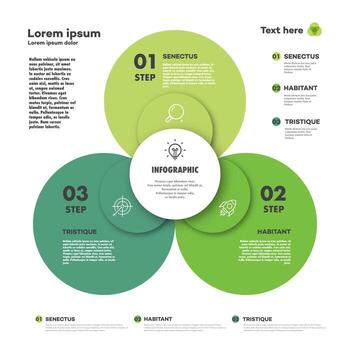 infografía gráfico diagrama de moda estilo para presentación, comienzo arriba proyecto, negocio estrategia, teoría básico operación, lógica análisis. venn diagrama vector