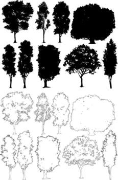 un conjunto de negro árbol siluetas y pareo línea Arte contornos de varios árboles, ideal para utilizar en arquitectónico elevaciones y paisaje diseño. vector