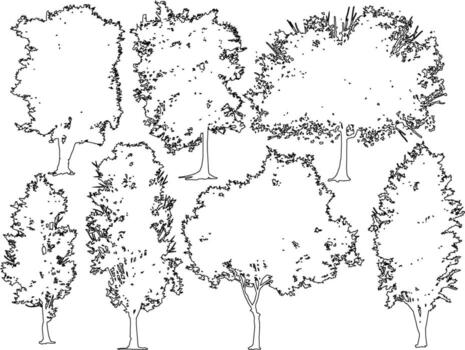 un conjunto de detallado blanco y negro línea Arte dibujos de varios árboles, ideal para utilizar en arquitectónico y paisaje diseño proyectos vector