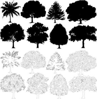 A set of various tree silhouettes and matching detailed line art outlines, ideal for use in architectural and landscape elevation drawings. vector