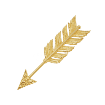 dorado flecha con intrincado pluma detalles es desplegado en contra llanura fondo, exhibiendo elegancia y precisión. punta de flecha es agudo y puntiagudo, agregando sentido de dirección y atención png