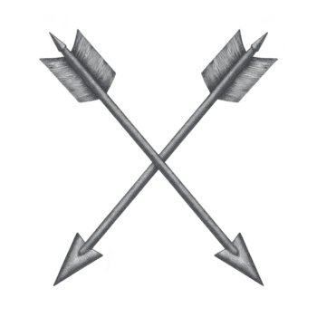 zwei gekreuzt Pfeile mit detailliert Auslaufen und spitz Tipps erstellen symmetrisch Design, symbolisieren Richtung und Einheit. metallisch Textur fügt hinzu modern berühren zu diese klassisch Emblem png