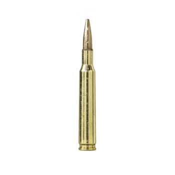 Single brass bullet stands upright against plain background, showcasing its metallic sheen and pointed tip. image highlights bullet cylindrical shape and polished surface png