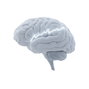 3d illustrazione di umano cervello con raggiante linea che rappresentano neurale attività, simboleggiante intelligenza e mentale processi. Immagine è nel scala di grigi, sottolineando cervello struttura png