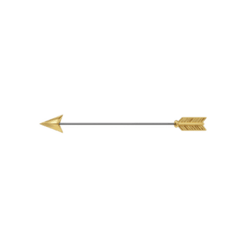 Sleek golden arrow with metallic shaft and feathered fletching, isolated on transparency background, symbolizing direction and precision png