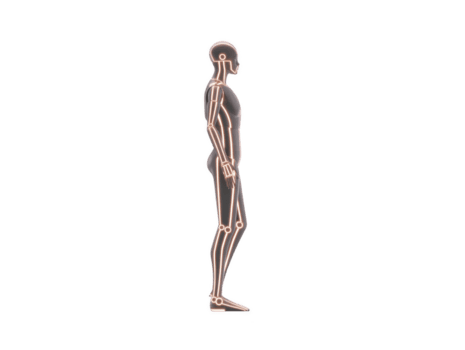 Digital illustration of human figure profile view, showcasing glowing skeletal structure with futuristic design. image highlights anatomy and posture of figure, emphasizing technological png