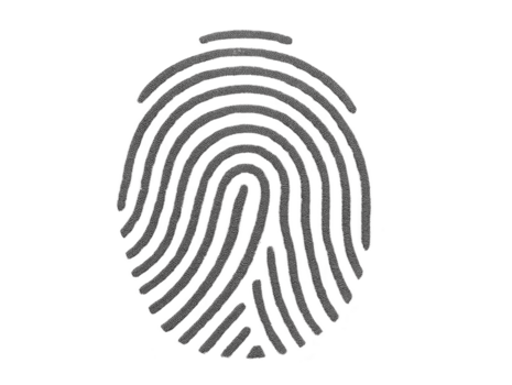 dettagliato impronta digitale design in mostra intricato Linee e modelli, simboleggiante identità e sicurezza. Questo unico rappresentazione evoca senso di individualità e personale connessione png