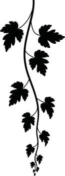 A delicate black silhouette of a trailing vine with multiple leaves vector