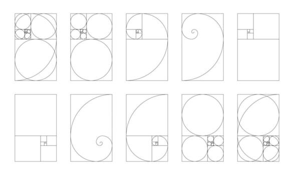 Big fibonacci numbers, array set. Collection of vertical golden ratio harmony proportions. vector