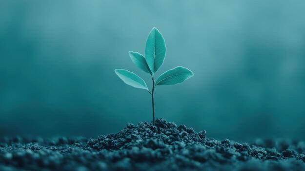 New plant sprouting from soil in a calm environment photo