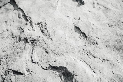 Textured rock surface showcasing natural erosion patterns photo