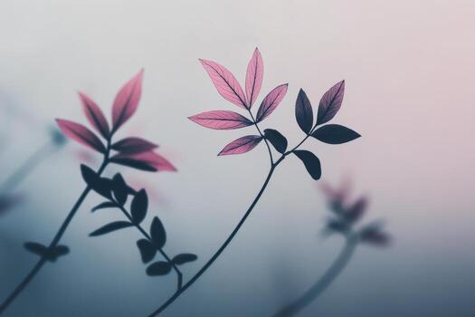 Delicate pink leaves against a soft gradient background photo