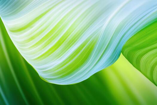Green waves of nature create a calming backdrop photo