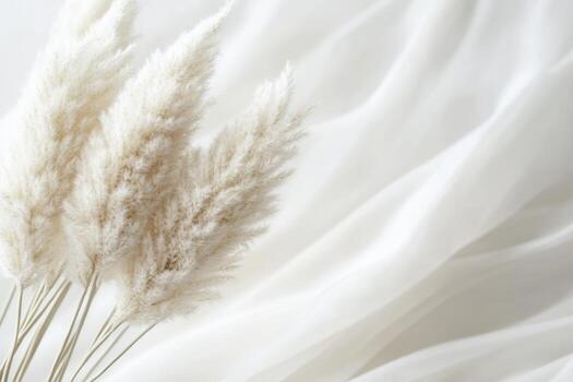 Rustic pampas grass arrangement on soft fabric backdrop photo