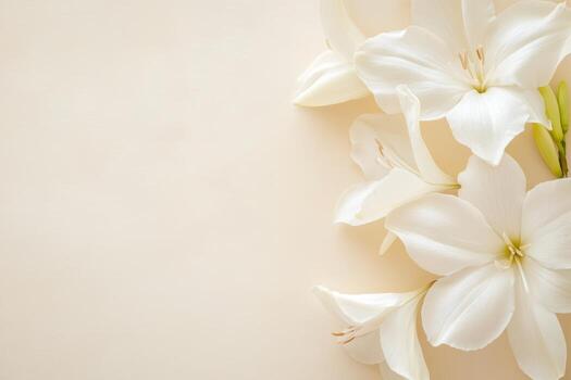 Delicate white flowers arranged on a soft background photo
