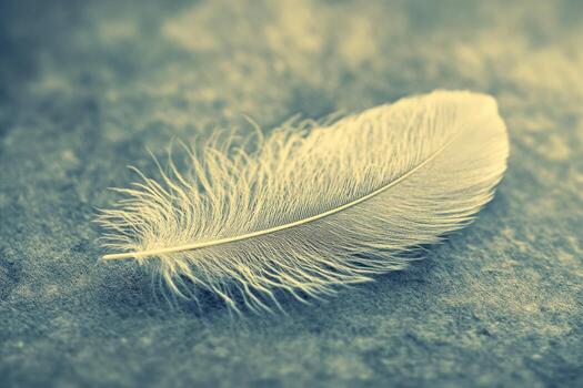 Delicate feather resting on textured surface at dusk photo