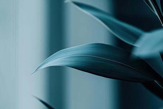 Close-up view of green leaves in soft natural light photo
