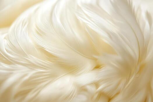 Soft white feathers arranged in delicate patterns photo