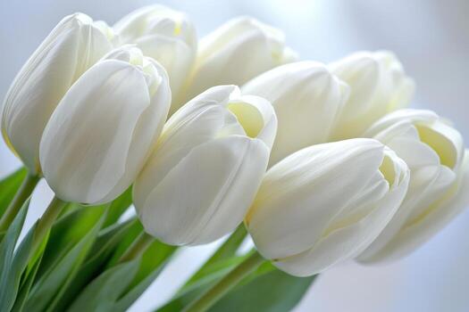 blanco tulipanes arreglado en un brillante interior ajuste foto