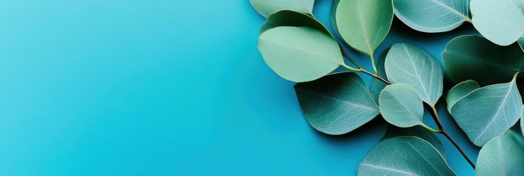 Green leaves on blue background create a calming effect photo