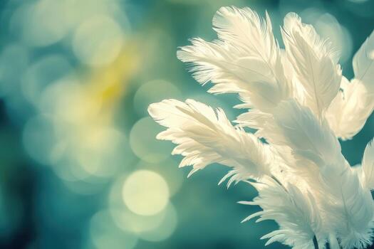 Soft white feathers softly swaying in natural light photo